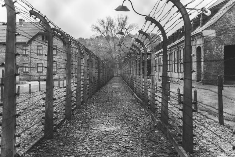 The Problem with Erasing Race from the Holocaust